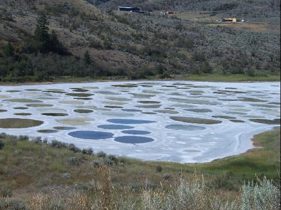 Spotted Lake 1