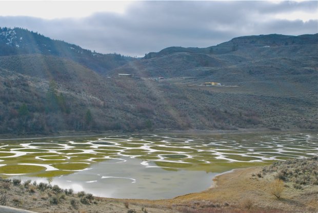 Spotted Lake 4
