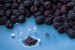 Blueberry waste Big Appetites project by Christopher Boffoli