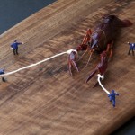 Crayfish workers Big Appetites project by Christopher Boffoli