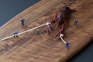 Crayfish workers Big Appetites project by Christopher Boffoli