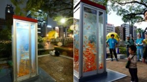 Phone booth fish tank Kingyobu