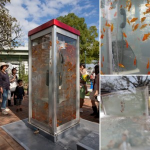 Phone booth fish tank by Kingyobu