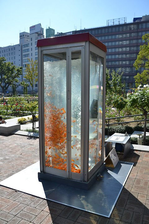 Phone booth fish tank by Kingyobu 4