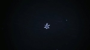 snowflake ice crystal